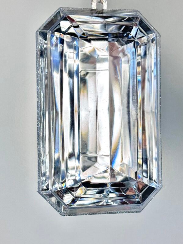 IMG_9623 2 Jewel (Large Silver)