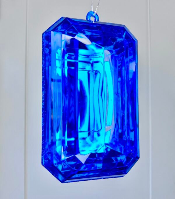 IMG_9628 Jewel (Large Blue)