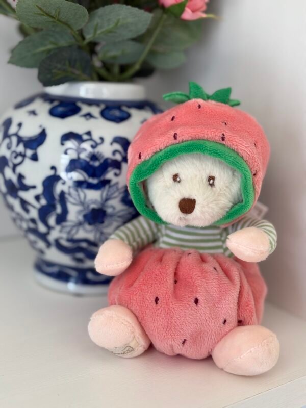 IMG_0471 ZIGGY - STRAWBERRY (BUKOWSKI BEARS) 6"