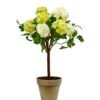 LIGHT GREEN SNOWBALL (44") WINWARD