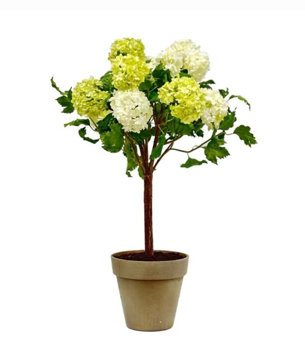 LIGHT GREEN SNOWBALL (44") WINWARD
