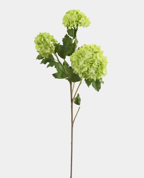 LIGHT GREEN SNOWBALL (44") WINWARD