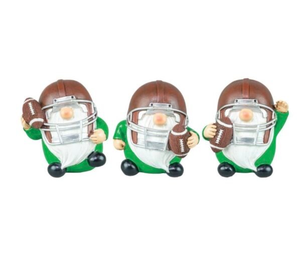 Gridiron Gnome