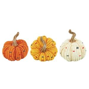 Maize Harvest Pumpkin
