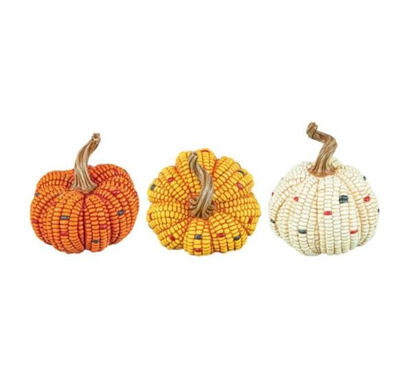 Maize Harvest Pumpkin
