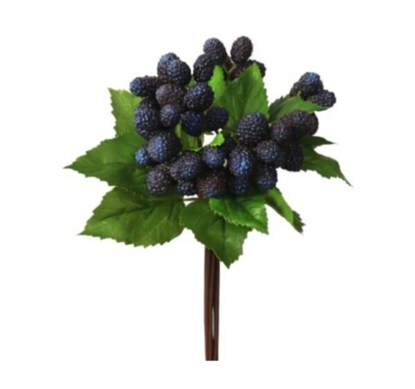 Mulberry Bunch 11" By Winward