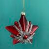 Retro Star Ornament