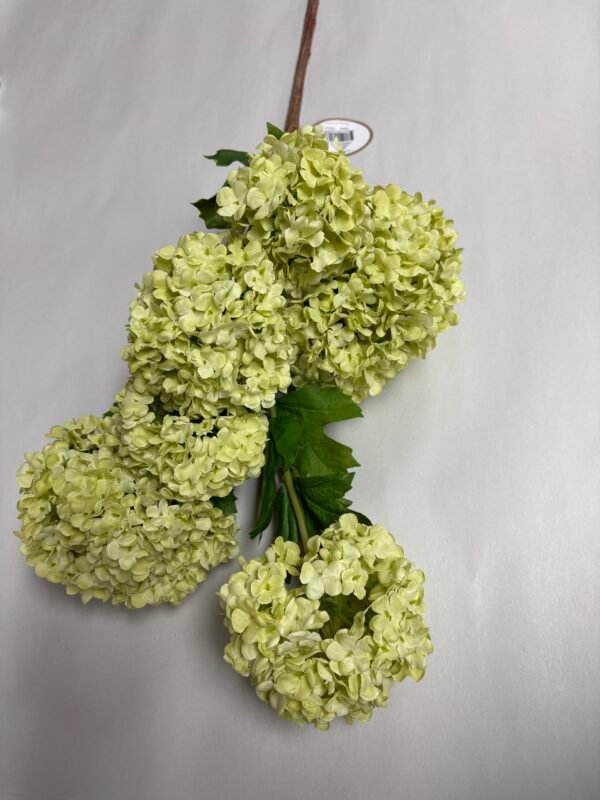 LIGHT GREEN SNOWBALL (44") WINWARD