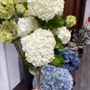 WHITE SNOWBALL (44") WINWARD