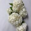 WHITE SNOWBALL (44") WINWARD