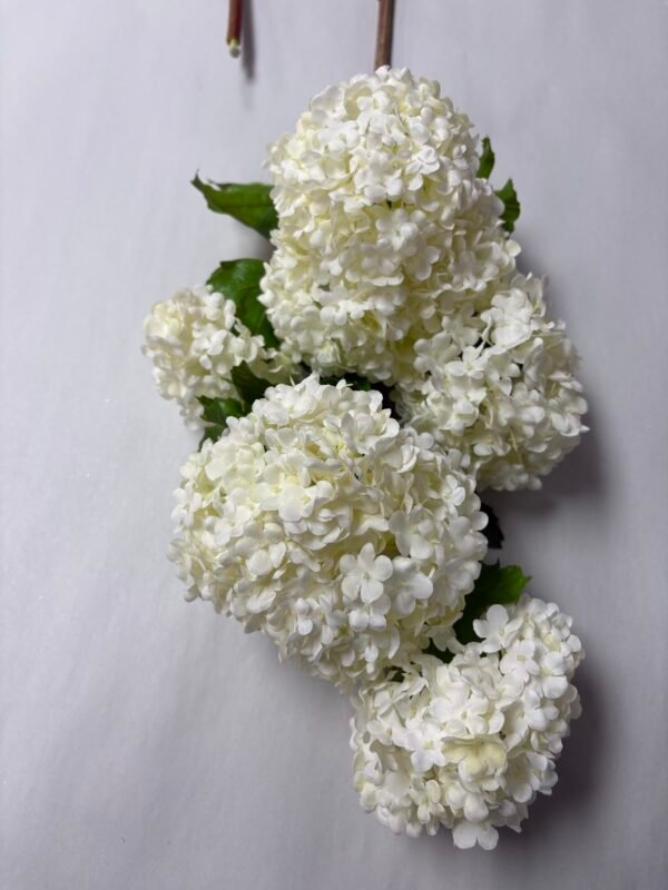 WHITE SNOWBALL (44") WINWARD